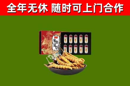 辛集市烟酒回收冬虫夏草礼盒.jpg